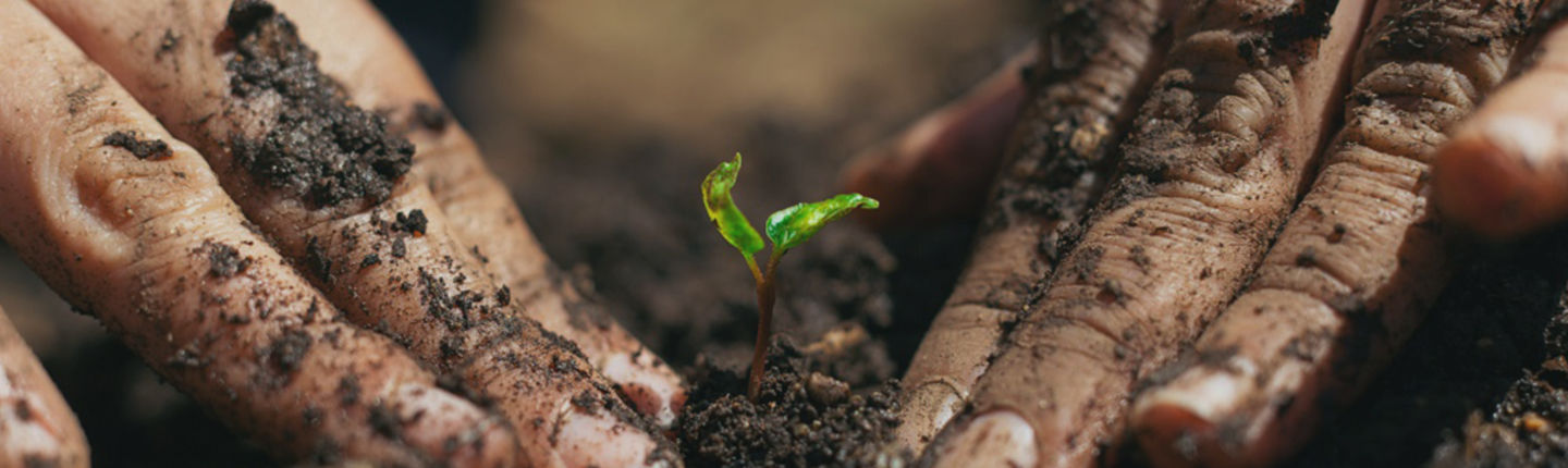 Hoe stel ik mijn beleggingsportefeuille samen?